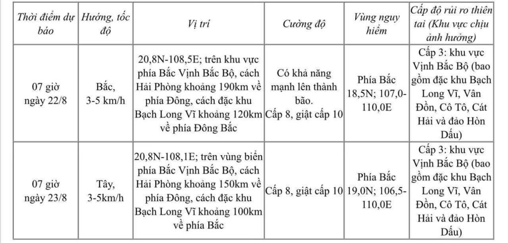 Bảng dự báo áp thấp nhiệt đới trong 24 đến 48 giờ tới.